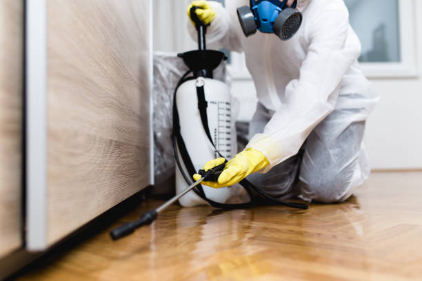 Best Emergency Pest Control  in Wildwood, NJ