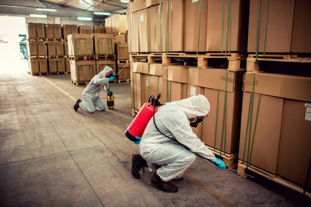 Trusted Wildwood, NJ Pest Control Experts