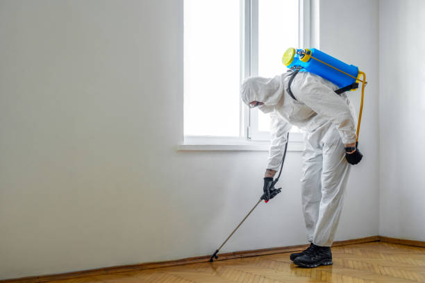 Best Pest Inspection Near Me  in Wildwood, NJ
