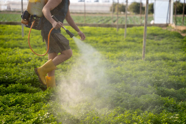 Best Mosquito Control Services  in Wildwood, NJ