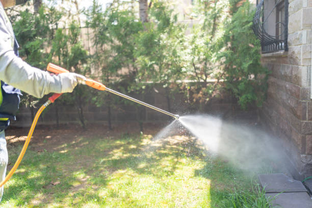 Best Rat Extermination Near Me  in Wildwood, NJ