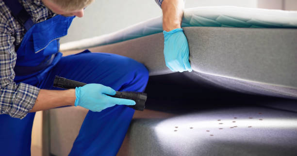 Best Cockroach Control Services  in Wildwood, NJ
