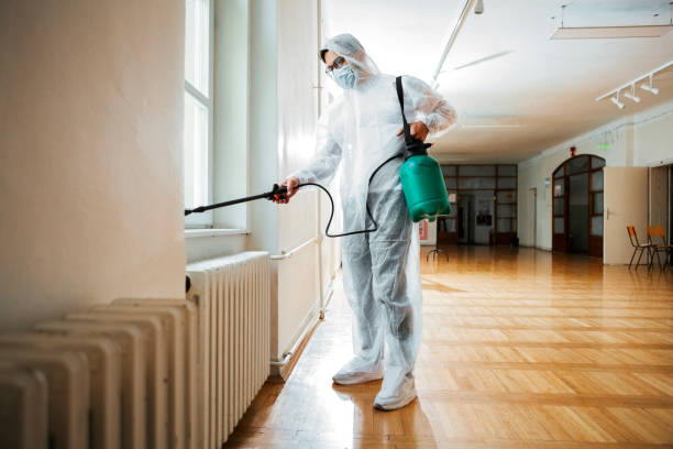 Best Affordable Pest Control Services  in Wildwood, NJ