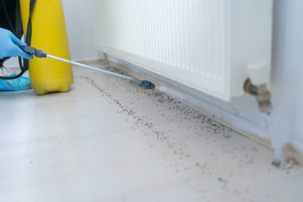 Best Residential Pest Control  in Wildwood, NJ